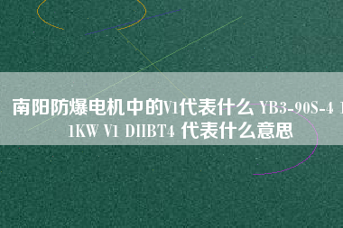 南陽(yáng)防爆電機(jī)中的V1代表什么 YB3-90S-4 1.1KW V1 DIIBT4 代表什么意思